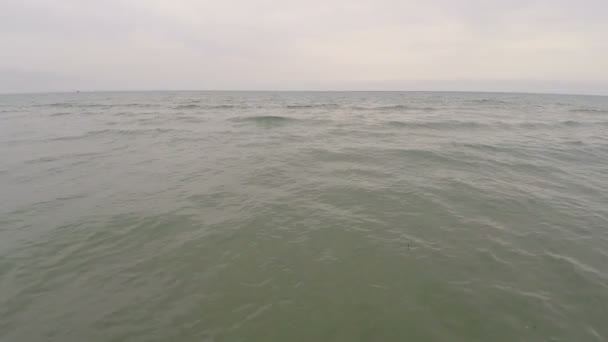 Antenn drönare film video av smutsiga havet vatten spolas upp en sandiga stranden, föroreningar — Stockvideo
