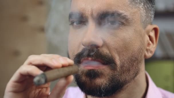 Γενειοφόρος άνδρας προσπαθεί νέα γεύση κουβανέζικα πούρα, συνήθεια του καπνίσματος, ανδρισμός — Αρχείο Βίντεο