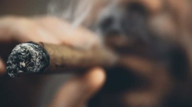 Duman bulutlar exhaling, onun puro şişirme ve önemli kararlar alarak mafya