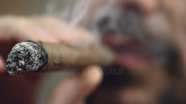 Closeup της καύσης κουβανέζικο πούρο τέλος, γενειοφόρος άνδρας απολαμβάνοντας καπνό, κακή συνήθεια — Αρχείο Βίντεο