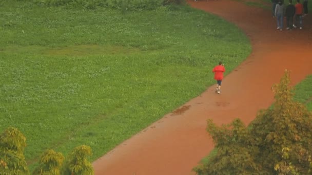 Gruppo di studenti che camminano nel parco vicino all'università, persona attiva che esercita — Video Stock