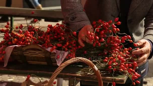 Hermosos ramos de pie en el mostrador del mercado, flores y plantas, florística — Vídeo de stock