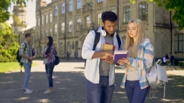 Zeki biracial öğrenci onun sarışın fellowmate matematik hometasks ile yardım