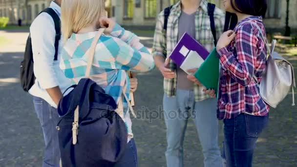 Happy přátelé mluví po vyučování, studenti diskusi o budoucí kariérní plány — Stock video