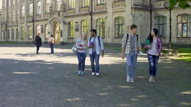 Gemischte Studentenpaare, die nach dem Unterricht auf dem Hof der Universität spazieren gehen — Stockvideo