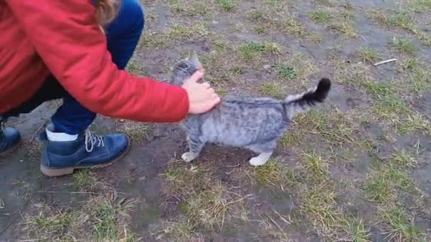 Turista accovacciato e accarezzare carino gatto, villaggio animale domestico, amante degli animali — Video Stock