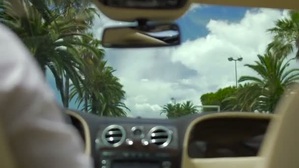 Businessman returning home in luxury car after work, driving street with palms — Stock Video