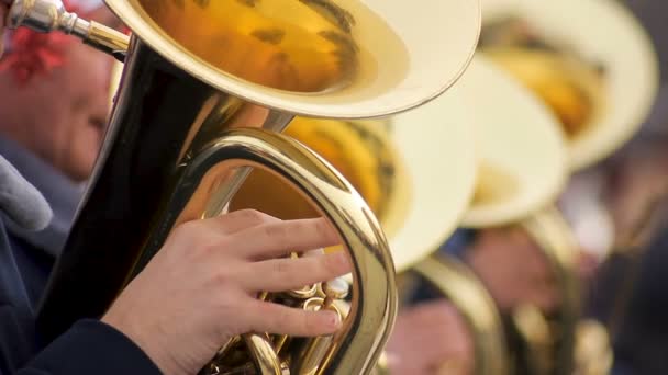 Опытные мужчины из духового оркестра усердно играют на трубах, праздничное настроение — стоковое видео