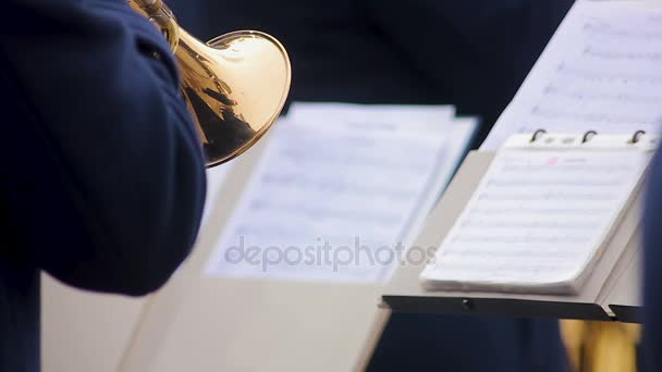 Orchestra musiker läsning anteckningar och skickligt utföra del på trumpet, visar — Stockvideo