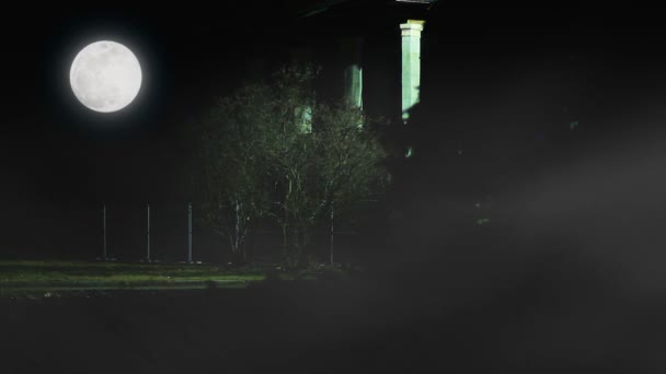 Ceață mistică care învăluie lama întunecată și copacul singuratic luminat de luna argintie, thriller — Videoclip de stoc
