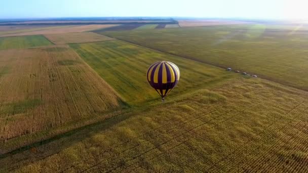 Balão de ar flutuando sobre os campos, desembarque de competidor do campeonato, vencedor — Vídeo de Stock