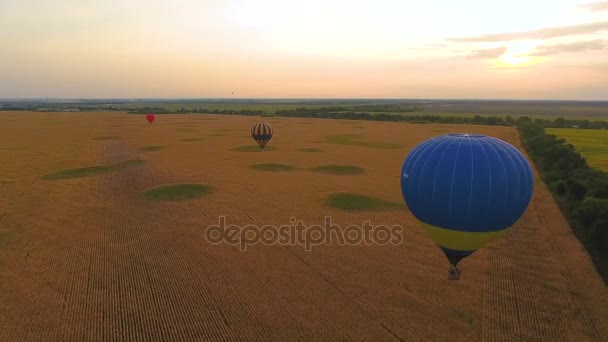 Mehrere Luftballons, die über Felder fliegen, unterhaltsames Programm, Naturerlebnisse — Stockvideo