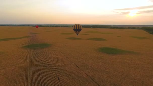 Пара повітряних кульок, що плавають над полями проти сяючого неба в сутінках — стокове відео