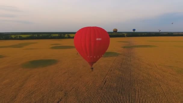 Wiele balonów na ogrzane powietrze latających nad polami wiejskimi, festiwal balonów, widok z powietrza — Wideo stockowe