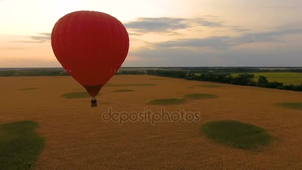 Roter Heißluftballon, der bei Sonnenuntergang über dem Feld schwebt, romantisches Jubiläum, Liebe — Stockvideo