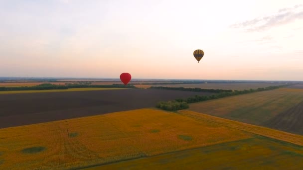 Повітряні кулі, що плавають над сільськими полями проти сяючого неба на заході сонця повітря — стокове відео