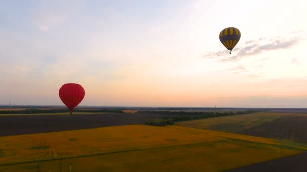 Par air ballonger flyger över fälten och elektriska kablar, land utveckling — Stockvideo