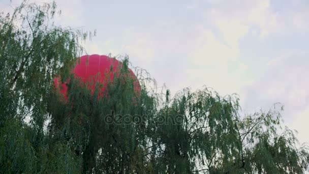 Montgolfière rouge survolant les arbres, les loisirs et le sport, extrême — Video