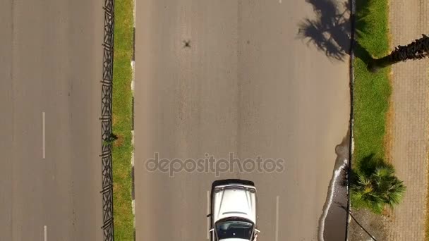 Automóviles corriendo por carretera de alta calidad con palmeras a un lado, destino — Vídeos de Stock