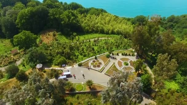 Botanical garden in Batumi Georgia outstretched over hills by coast, nature — Stock Video