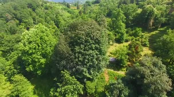 Trees growing on highlands lushly, city lying in meadow afar facing sea, resort — Stock Video