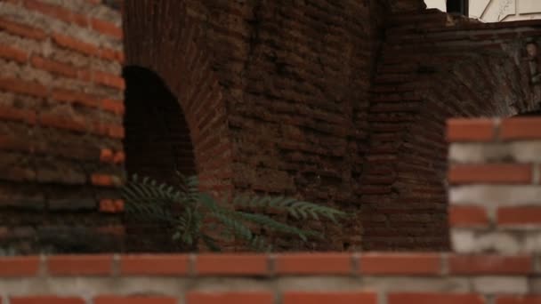 Uitzicht op bomen omzoomde ingang verlaten catacomben en tunnels van oude tempel — Stockvideo