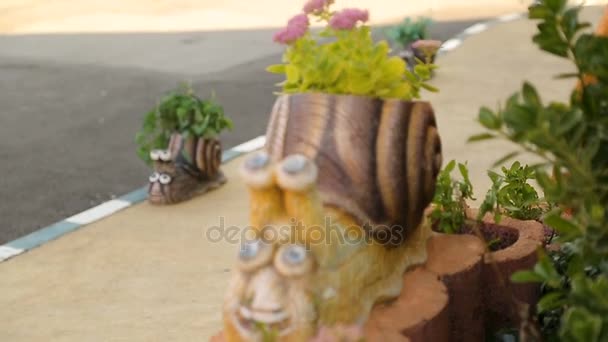 Lovely pots with flowers in form of snails adorning pavement pleasing eye design — Stock Video