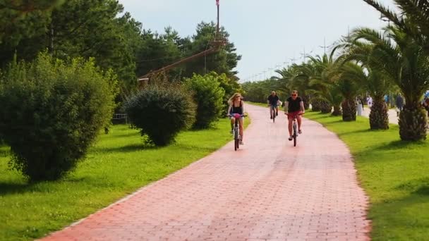 BATUMI, GEORGIA - CIRCA MAY 2017. People in the city. Athletic men and women riding a bike at beautiful green park, summer and sport — Stock Video