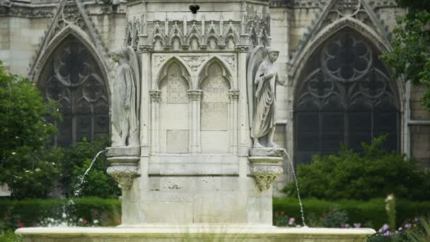Fontein van de Maagd en Notre Dame de Paris, beroemde attracties, Frankrijk — Stockvideo
