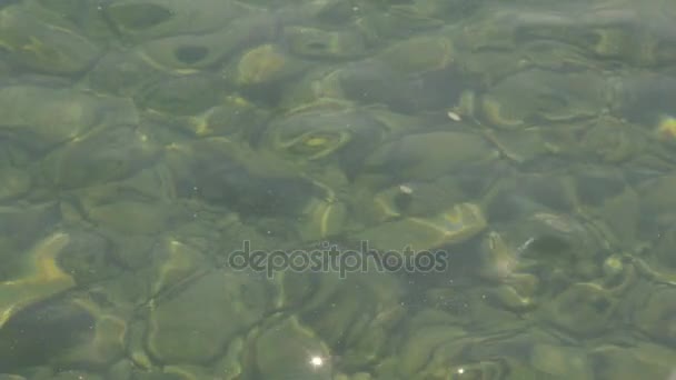 Rocky sea bottom visible through transparent water, bright sun flare reflection — Stock Video