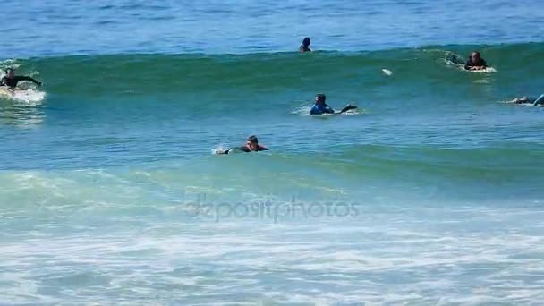 CASCAIS, PORTUGAL - CIRCA AGOSTO 2014: Surfando na praia. Surfistas ativos nadando no oceano tentando pegar onda, surfando no verão — Vídeo de Stock