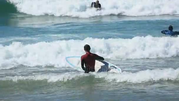 Człowiek w stroju surfing wprowadzanie ocean, prowadzenia zarządu w ręce, active sport — Wideo stockowe