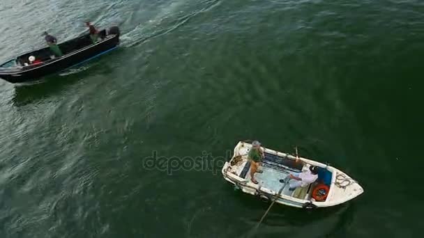 Homens navegando em pequeno barco remando-o com remos ao longo do rio sob ponte, vista superior — Vídeo de Stock