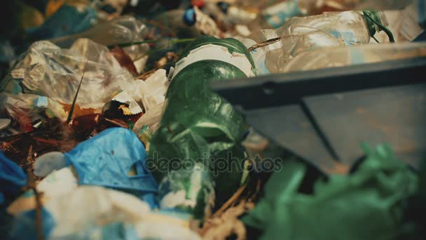Крупный план переработки пластика, проблема потребления на планете, кризис с вывозом мусора — стоковое видео
