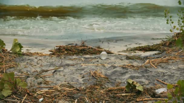 Seashore lider av vattenföroreningar, giftiga skräp förnedrande markkvalitet — Stockvideo