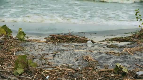 Agua contaminada salpicaduras en la costa, peligro para la salud, desastre ambiental — Vídeos de Stock