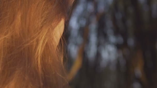 創造的な性格のフィルム カメラで秋の美しい自然の写真を撮る — ストック動画