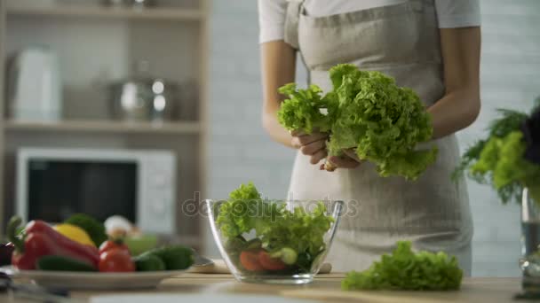 Vrouwelijke voorbereiding van groene salade, het scheuren en glazen kom, aanbrengend dieet — Stockvideo
