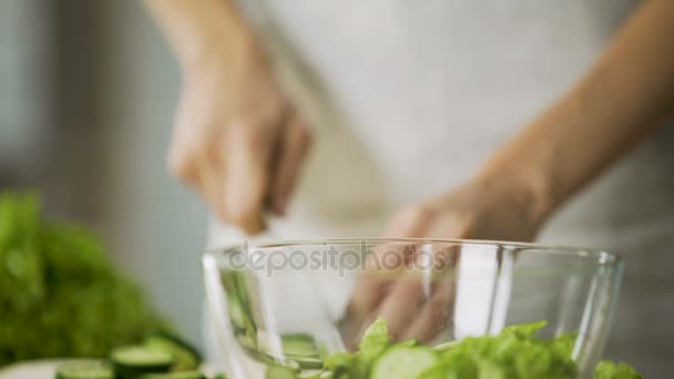 Cierre de manos femeninas rebanando pepino fresco y agregándolo en un tazón de ensalada — Vídeo de stock