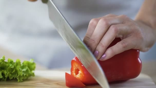 Mãos de mulher cortando pimenta búlgara, senhora cozinhar delicioso jantar para a família — Vídeo de Stock