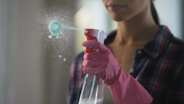 新しい洗浄剤を使用してガラスの汚れが見事に苦しんでいる女性 — ストック動画