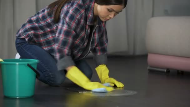 Lady trying te halen afhelpen van vlekken op de vloer met speciale remover, polijsten — Stockvideo