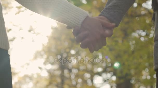 Toegewijde paar in relatie hand in hand en herfst park samen wandelen — Stockvideo