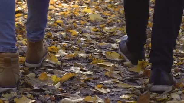 Piedi maschili e femminili lentamente a piedi parco in foglie autunnali, passeggiata mattutina, data — Video Stock
