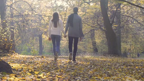 Estudiantes universitarios disfrutando de un paseo por el parque después de clases, relación romántica — Vídeo de stock