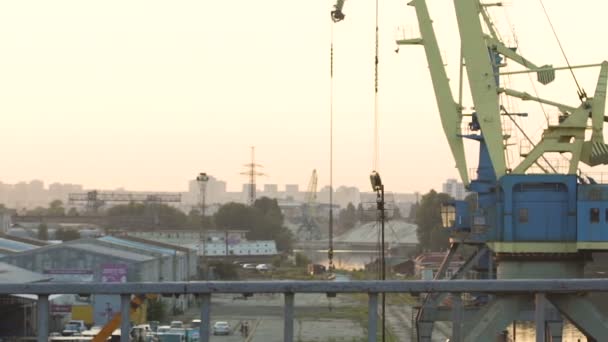 Man uitgevoerd, frisse lucht inademen en doen fysieke oefeningen, actieve levensstijl — Stockvideo