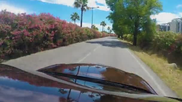 沿乡间小路行驶的出租车, 在棕榈树和开花的灌木丛中观看 — 图库视频影像