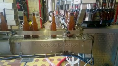 Bira üretim hattında atölye, alkollü içki fabrikası, birahaneler için