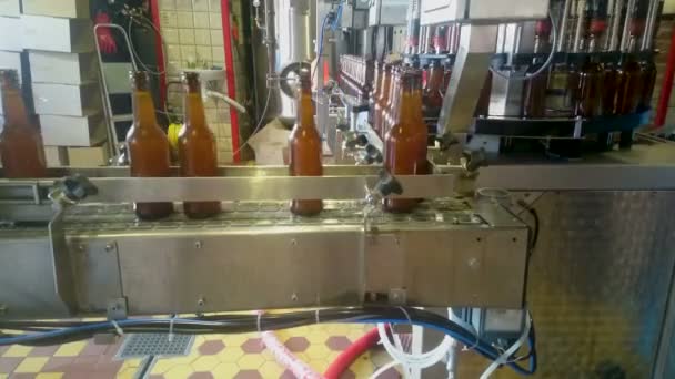 Γραμμή παραγωγής μπύρας στο εργαστήριο, εργοστάσιο αλκοολούχα ποτά, ζυθοποιείο — Αρχείο Βίντεο
