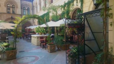 Rahat kafe teras saksı ve şemsiye, düğün mekanı